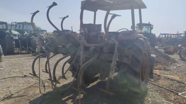 ARADO - Imagen 2